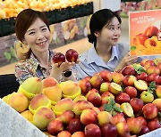 이상기후 여파로 7월 복숭아값 작년보다 비싸다