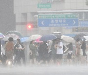 "우산도 무용지물"···서울 동남·동북권 호우주의보 발효