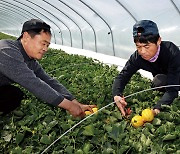 7년 만에 소환된 ‘사드’로 다시 갈라지는 성주 민심