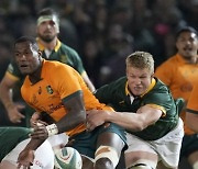 South Africa Australia Rugby Championship