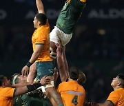 South Africa Australia Rugby Championship