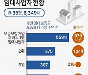 [그래픽] 100채 이상 임대보증 가입 임대사업자 현황