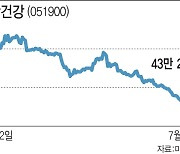 2년 만에 반의반 토막난 LG생활건강…개미 곡소리