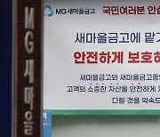 '새마을금고 사태' 이번주 분수령…'범정부 실무 지원단' 오늘 발족