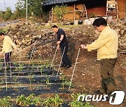 단양군, 우박피해 454농가에 재난지원금 조기 집행