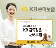 "반려동물 보험가입도 어릴 때"…KB손보, 펫보험 출시 첫 달 1억원 돌파