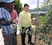 영동군 우박피해 농가에 긴급방제비 지원…㏊당 252만원