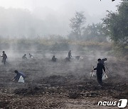 옥천 청성면민협의회 '경관 사진 공모전'…내달 31일까지 접수