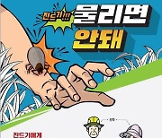 제주 5번째 SFTS 확진, 길고양이 접촉 때문?