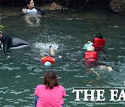 대프리카 이어 제프리카? 제주 '37.3도' 기록...폭염주의보