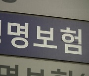 '불황형' 보험약관대출 50조 넘어...취약차주 보호 '비상'