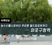 [하루만보]농수산물시장부터 푸르른 월드컵공원까지…마포구청역