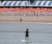 제주 37.3도 역대 4번째 고온...한시간 만에 4.5도 올랐다