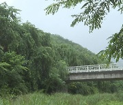 대구·경북 낮 최고 33도 '폭염'…경북 북부 호우·강풍특보