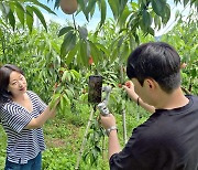 “제철 농산물 산지로”...롯데홈쇼핑, 모바일 라이브 ‘가보까’ 론칭