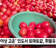 [이 시각 세계] '이상 고온' 인도서 토마토값, 휘발유 추월