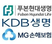 보험사 첫 킥스비율 공개…푸본·KDB·MG '미달'