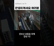 계단 ‘미끄럼틀’, 김치통 ‘철퍽’···KT CCTV에 찍힌 ‘웃픈’ 장면들