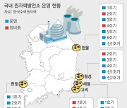 재생에너지 시대 ‘원전 역주행’