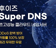 네임서버 보안 위협, 후이즈 수퍼(Super) DNS로 방어…"기술력·비용 절감 등 효율"