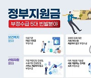 권익위, 정부지원금 부정수급 집중신고기간 운영…보상금 최대 30억