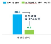 "5년간 한류 경제적 효과 37조"…문화 파급력 31위→7위