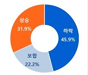 하반기 주택시장 ‘하락’ 전망 46%, 여전히 우세