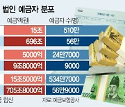 “보호망 벗어난 회삿돈 700조”···법인예금 이대로 괜찮나