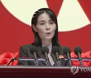 [속보] 김여정 "美정찰기 오늘 새벽도 경제수역 침범···대응출격 퇴각"