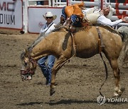 Stampede Rodeo