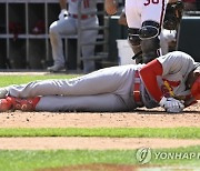 Cardinals White Sox Baseball