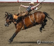 Stampede Rodeo