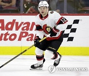 Red Wings Senators Trade Hockey