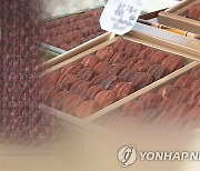 완주곶감 '지리적 표시제' 추진…연말에 산림청 현장 심사