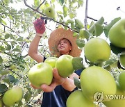 지리산 함양산 썸머킹 첫 수확