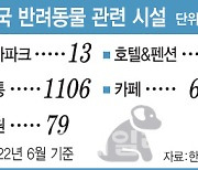 [단독]반려동물 동반여행 활성화…관광산업 키운다