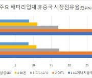 中 LFP배터리 역습..韓 입지 흔들리나