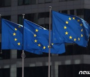 EU 진출 기업, 10월부터 역외보조금 신고 의무화…위반 시 매출 10% 과징금