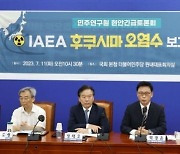 [포토]  IAEA 후쿠시마 오염수 보고서 검증 민주연구원 현안긴급토론회