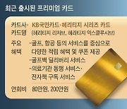 ‘혜자 카드’ 없애고 프리미엄 카드는 대거 출시