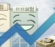 보험사 지난해 해외 순익 1억2300만 달러…전년比 34.9%↑