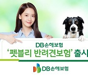 DB손보, 펫보험 출시…의료비 최고 연간 2천만원까지 보장