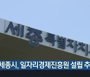 세종시, 일자리경제진흥원 설립 추진