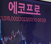 '100만원' 에코프로도 삼성전자처럼?…개미들 목소리 낸 까닭