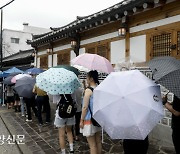 비 내려도 '초복'엔 삼계탕[경향포토]