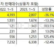 힘 빠지는 수소 전기차, 1~5월 판매량 12.4% 감소···현대차도 주춤