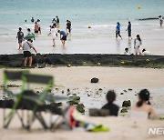 올해 첫 폭염경보 내려진 제주