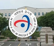 선관위 회의 수당으로 '공짜 여행'…적발되니 "지나쳤다"