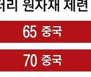 배터리 광물 영토 넓히는 中… 직접 광산 개발 나선 완성차