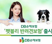 DB손보, '펫블리 반려견보험' 출시